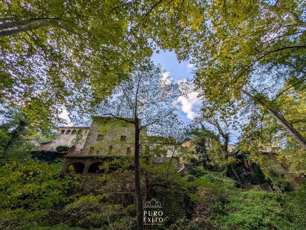 The stone house seen through plane trees